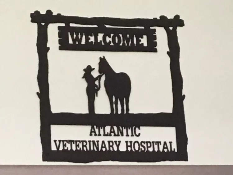 Atlantic Veterinary Hospital, Florida, Jacksonville